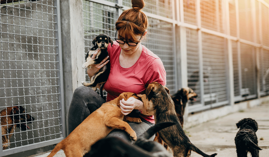 Sinnsuche: Frau kümmert sich um Hunde im Tierschutz